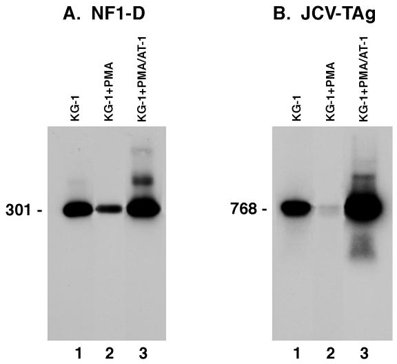 FIG. 6