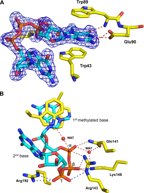 FIGURE 3.