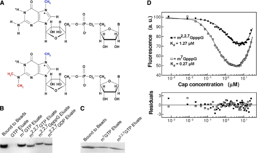 FIGURE 1.