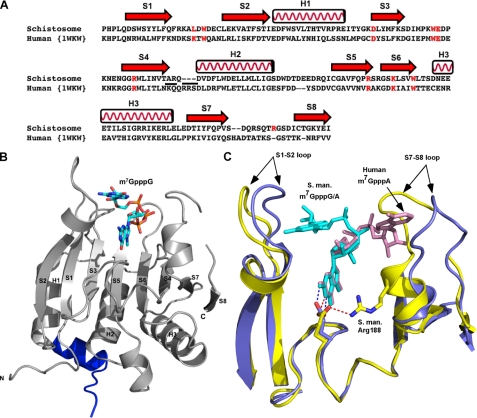 FIGURE 2.