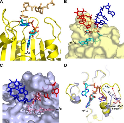 FIGURE 4.