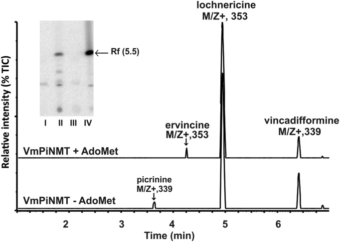 Figure 2.