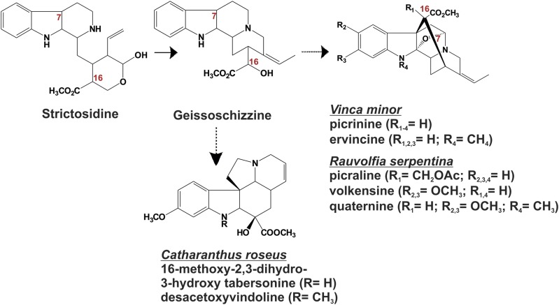 Figure 1.