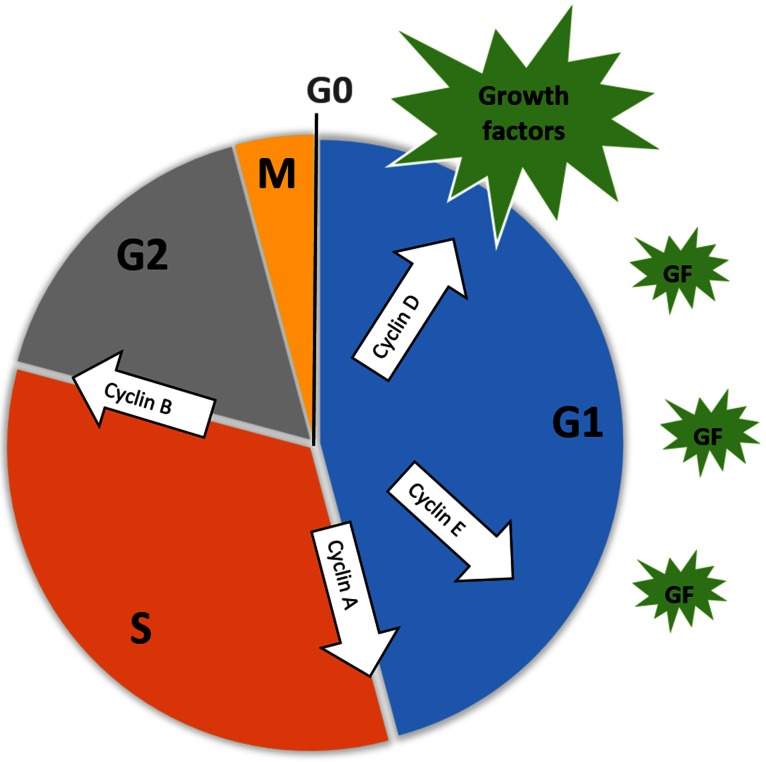 Fig. 2