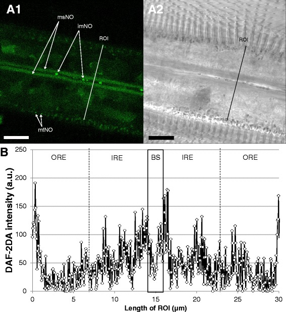 Fig. 8