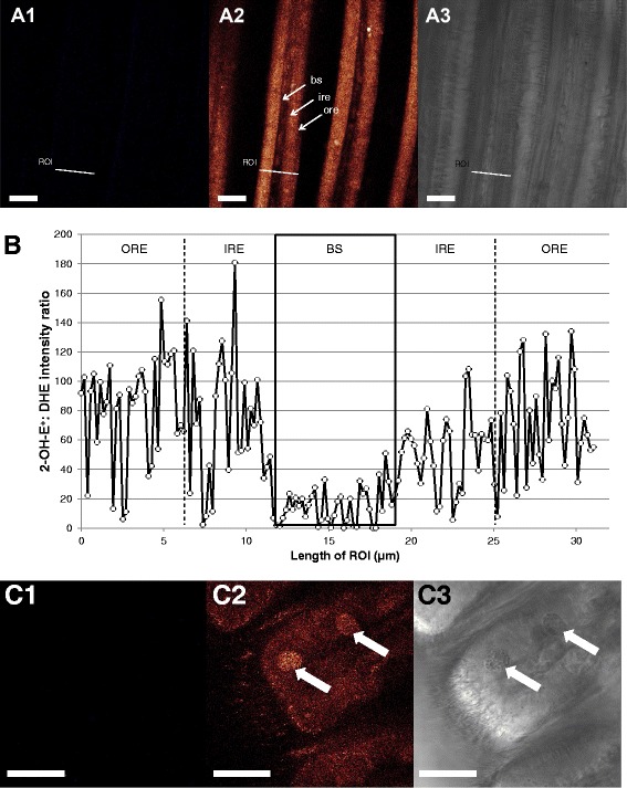 Fig. 7