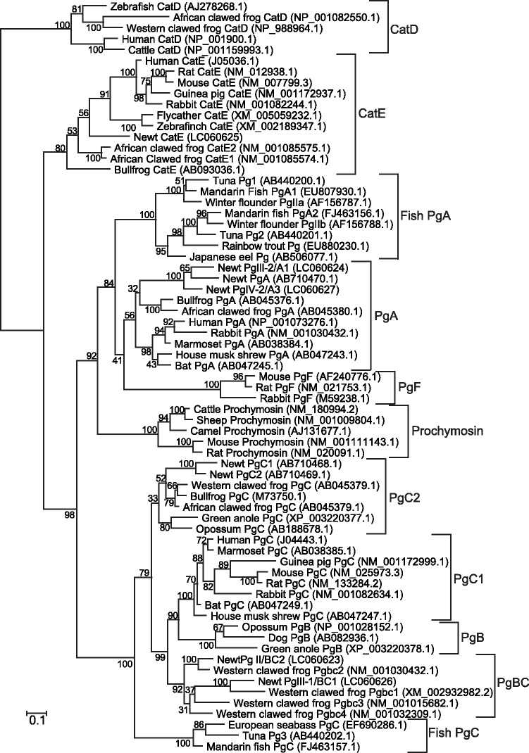 Fig. 9