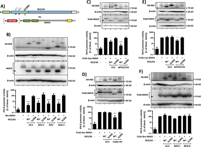 FIG 3