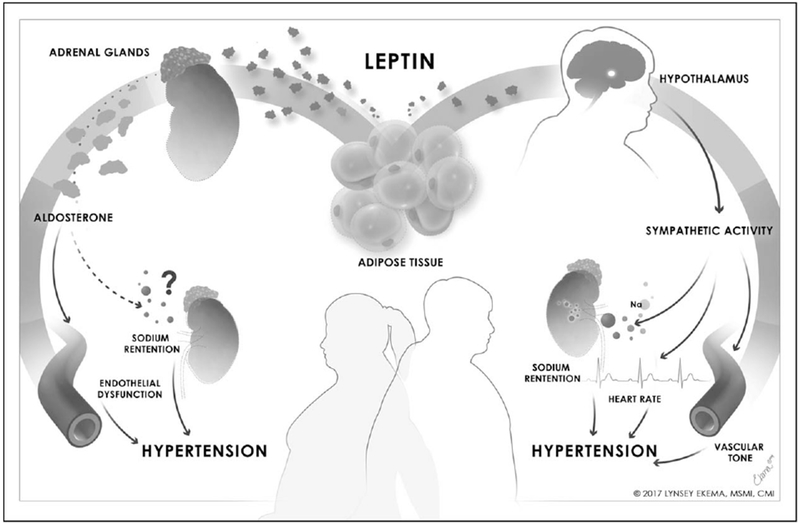 FIGURE 2.