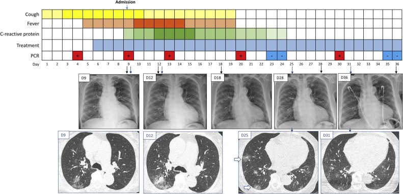 Fig. 1