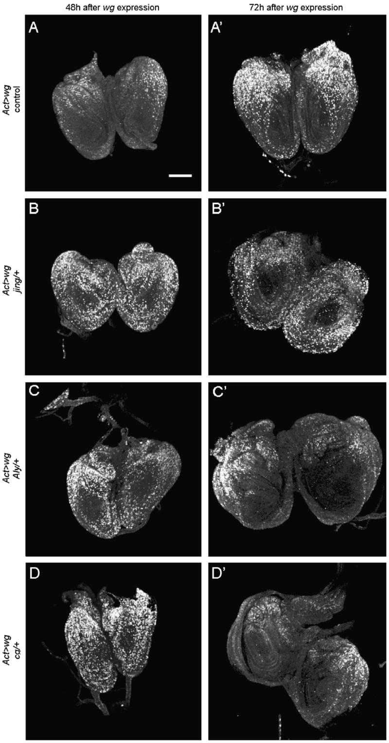 Fig. 6