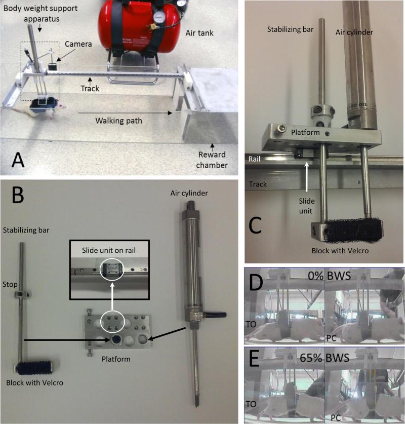 Fig. 1