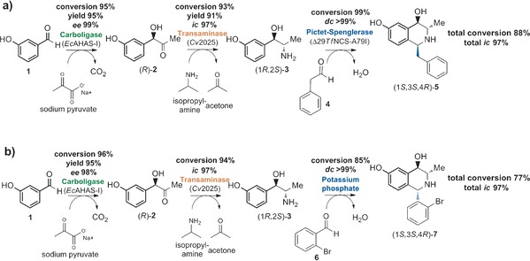 Scheme 1