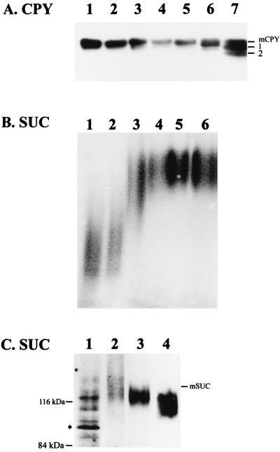 FIG. 6