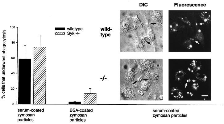 FIG. 8