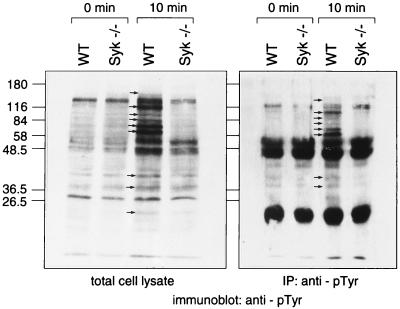 FIG. 9