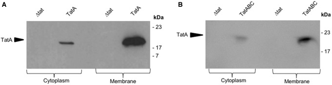 Figure 1.