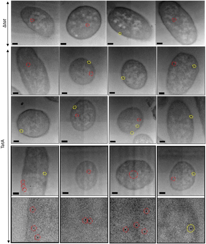 Figure 2.