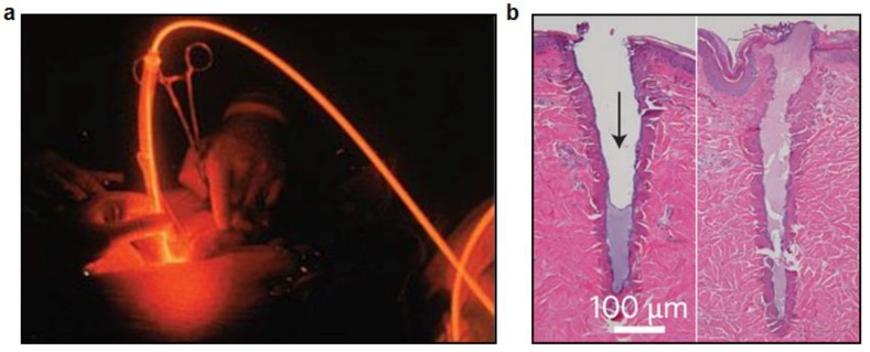 Figure 9