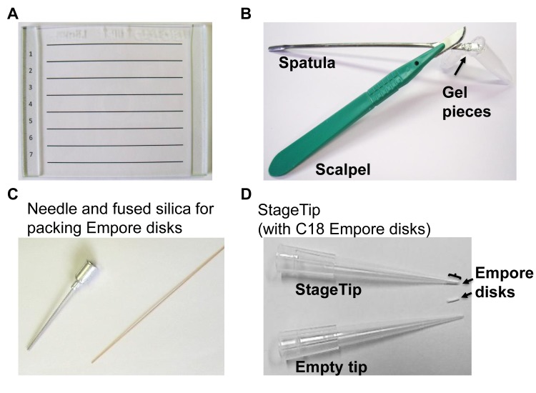 Figure 2.