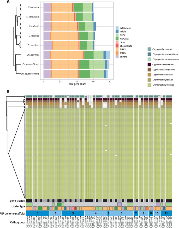 FIG 3