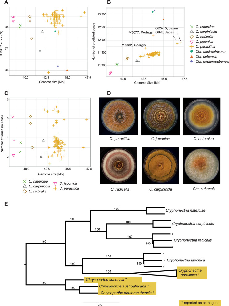 FIG 1