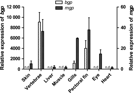 Fig. 2