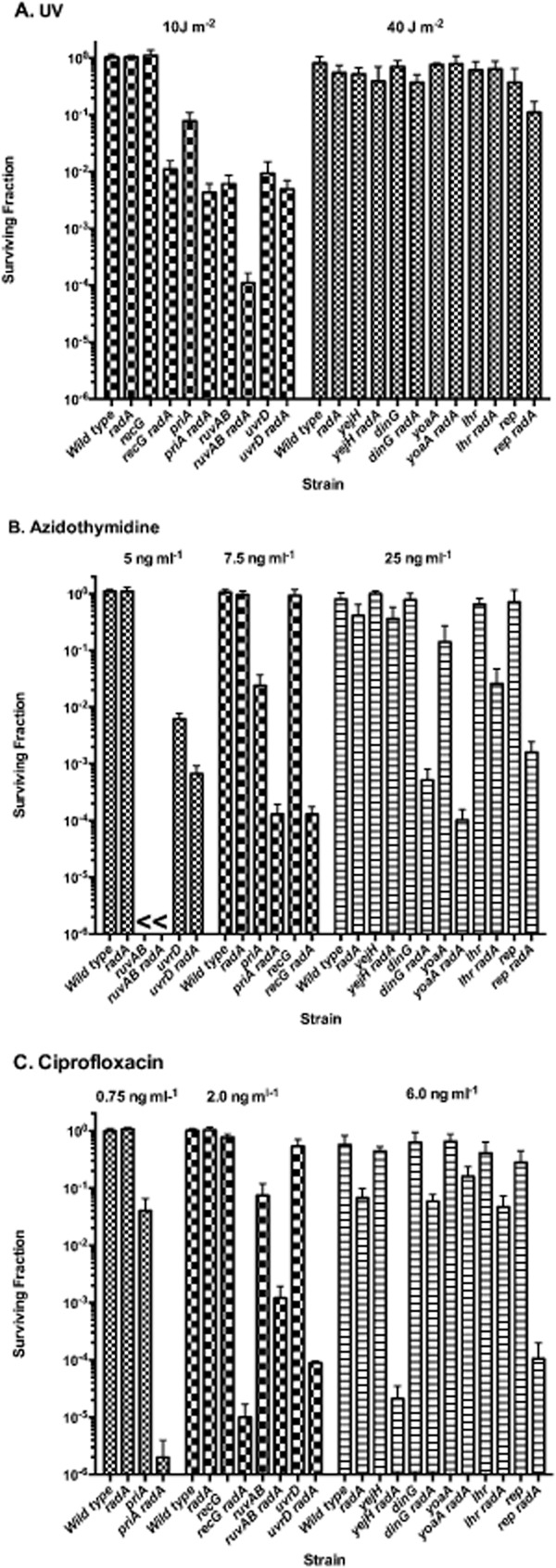 Figure 7