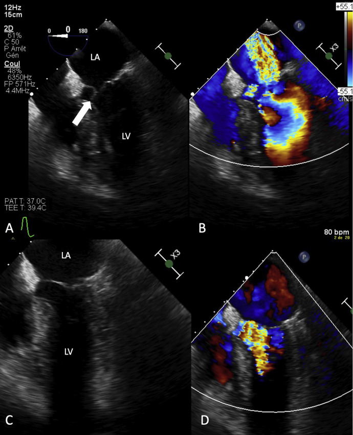 Figure 1