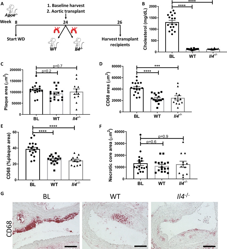 Figure 2—figure supplement 1.