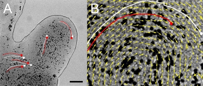 Fig. 3.