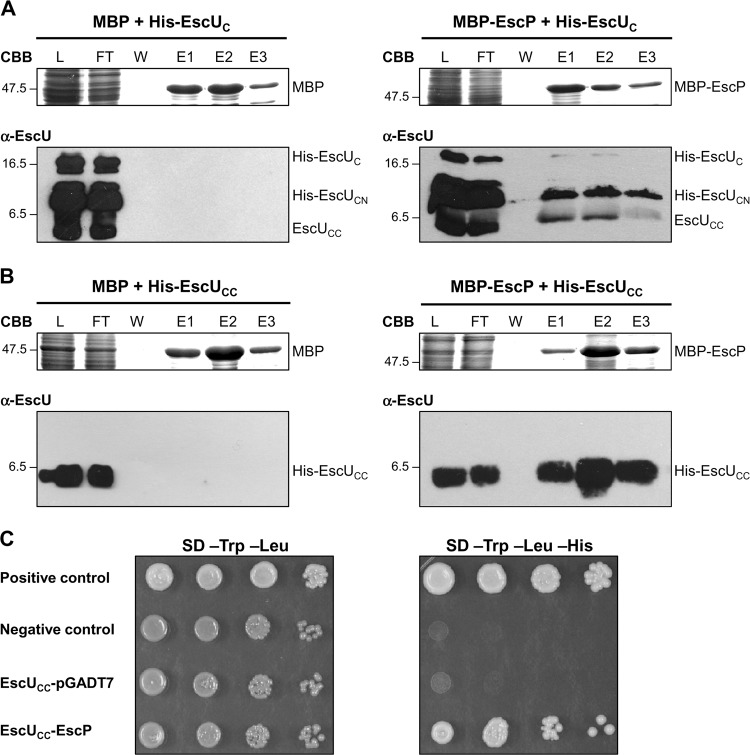 Fig 6