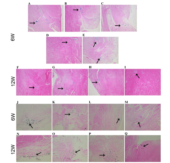 Figure 6.