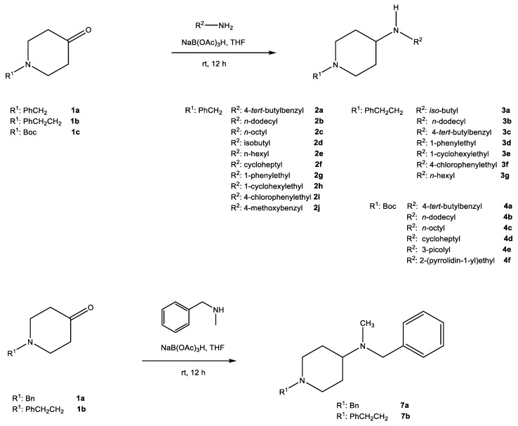 Scheme 1