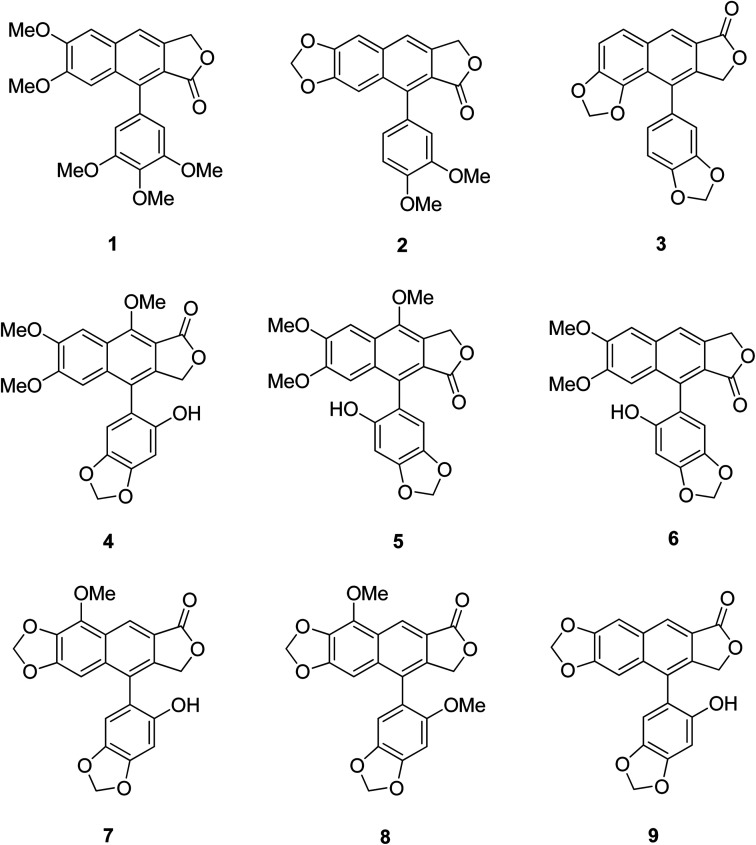 Fig. 1