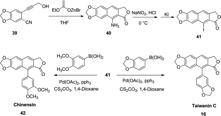 Scheme 6