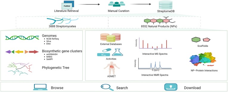 Graphical Abstract