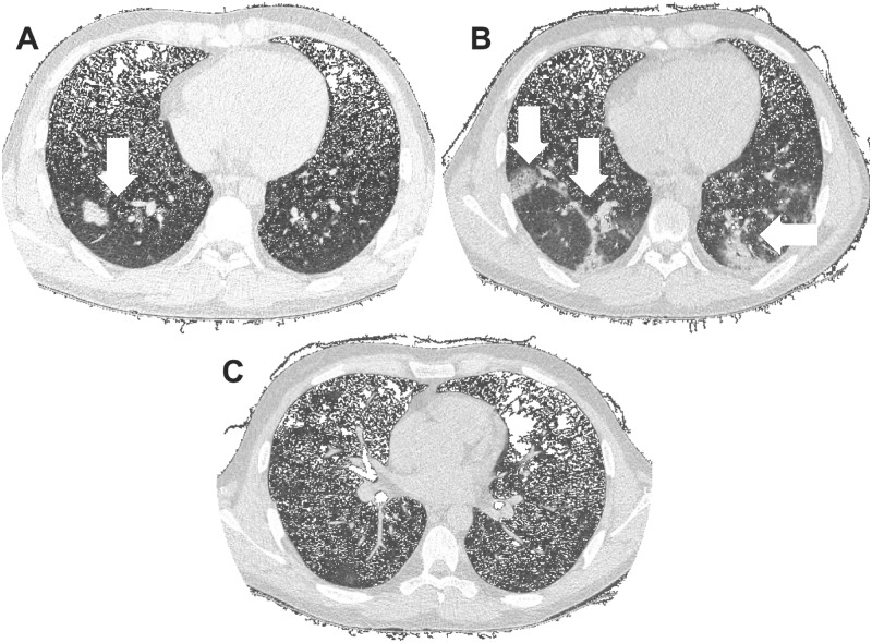FIGURE 1: