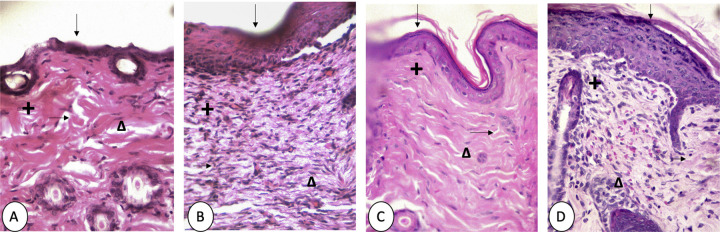 Figure 5.