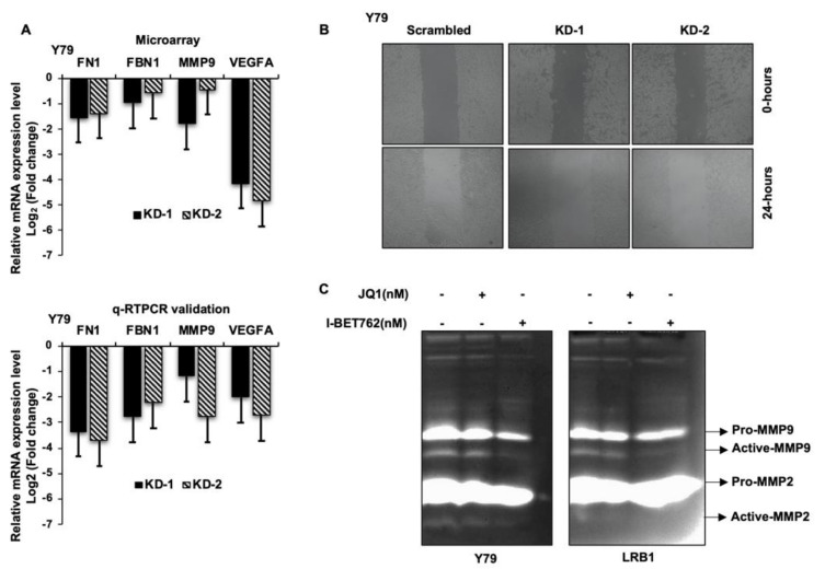 Figure 7