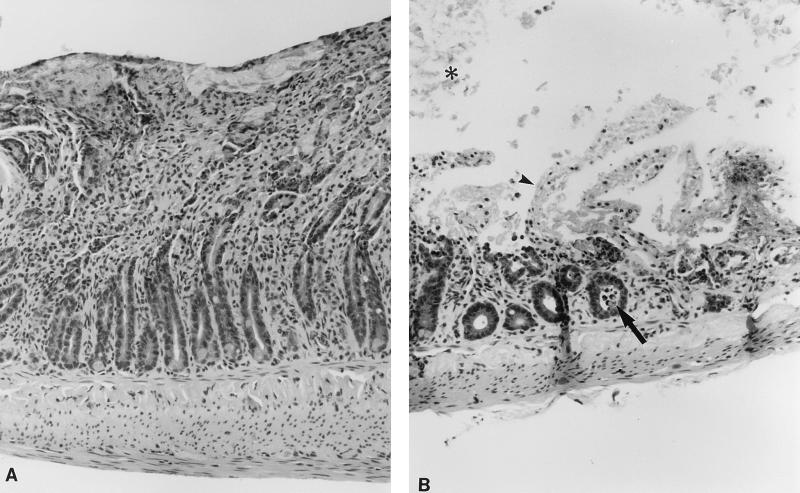 FIG. 7