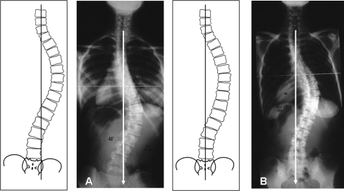 Fig. 7