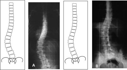 Fig. 8