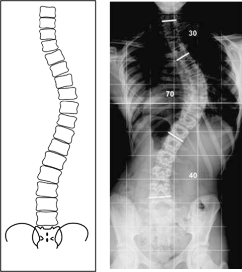 Fig. 5