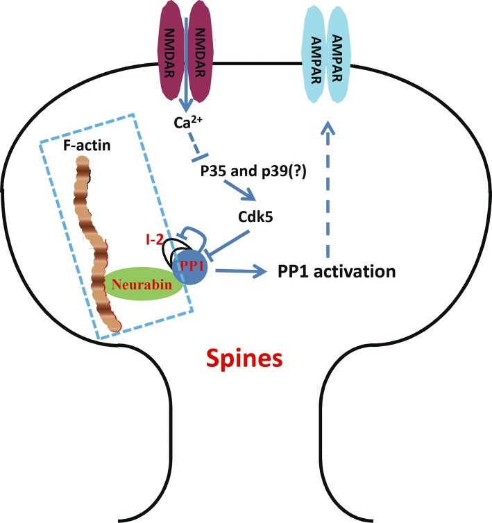 Figure 7.