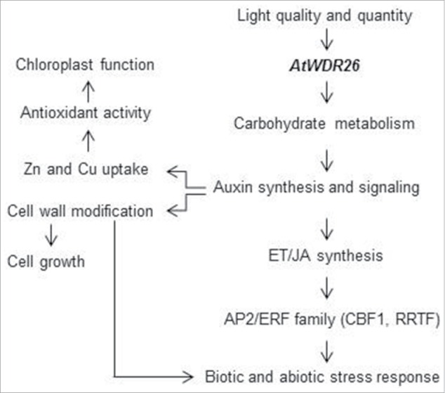 Figure 2.