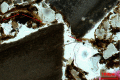 Fig 9