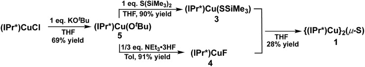 Scheme 2