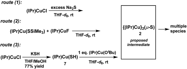 Scheme 4