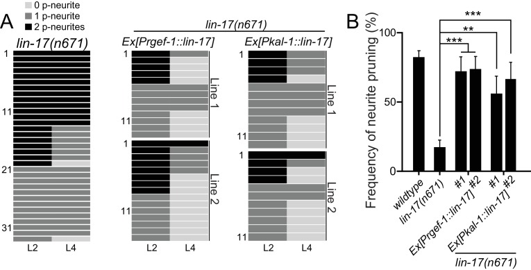 Figure 3—figure supplement 1.